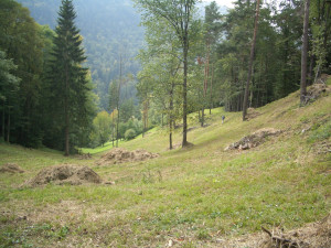 Bild des Bärengraben in Reigoldswil