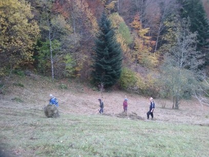 Naturschutztag