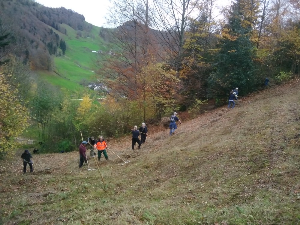 Leute beim Pflegen eines Naturschutzgebietes